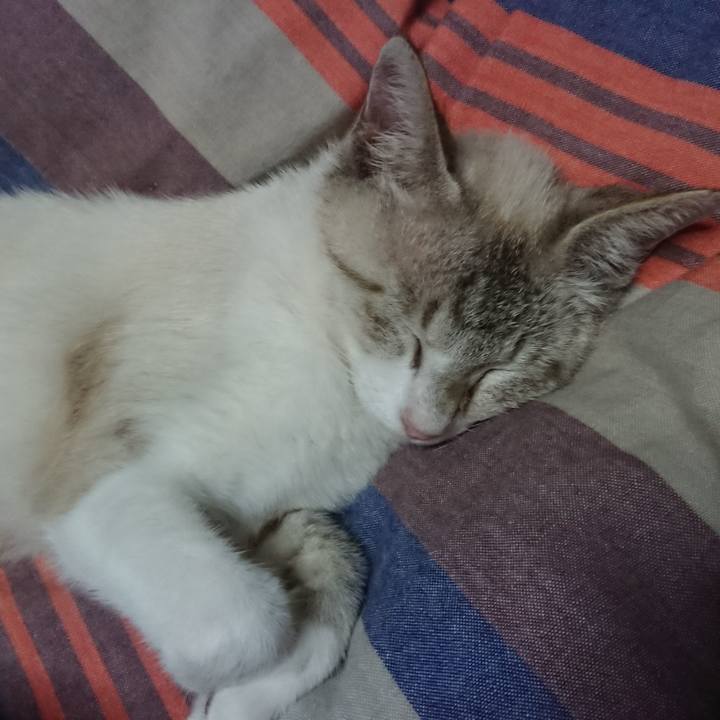 76214de5 70ae 424c 9aa7 d6d1e407d1c0 1527261730066