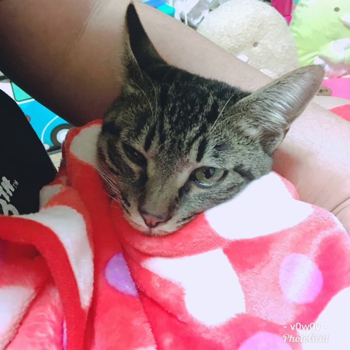 762157a0 2a85 4338 9ce9 0eb352929154 1546331964907