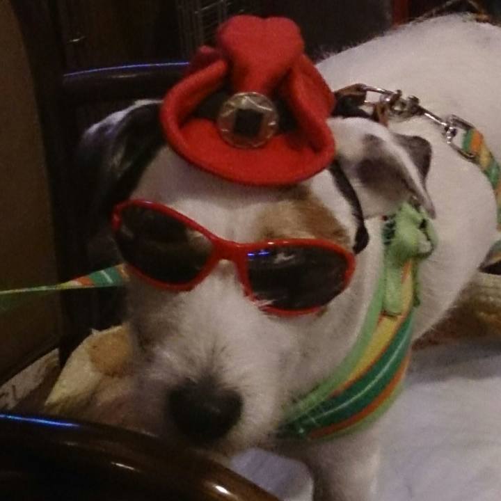 76217e4c 2f47 4113 bda0 4cefaf7acd9d 1512945723418