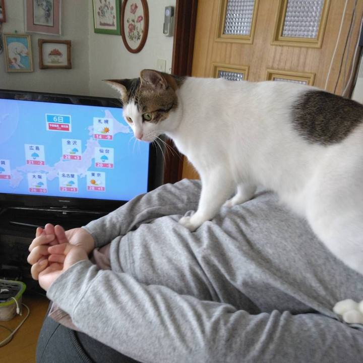 76219ba8 717f 49e3 8de4 14181e112268 1683344170814