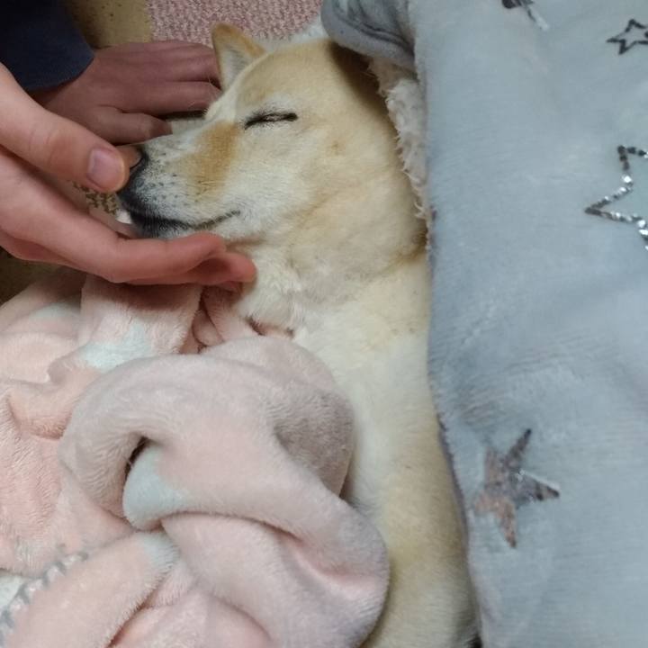 7621c1bb 196d 4d56 9075 49d350b1e942 1608122078911