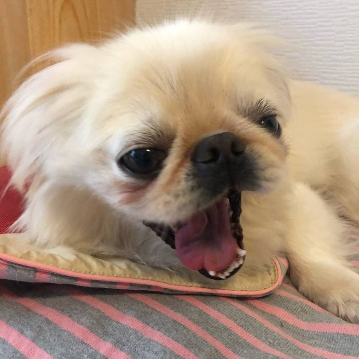 7621edd8 c2f7 4c0f a502 3c54484ff825 1535273837027