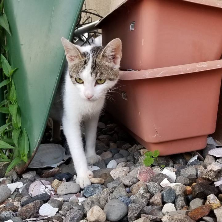 7621f102 ae8c 4bcb b82a 0fca9bc96235 1563367056952