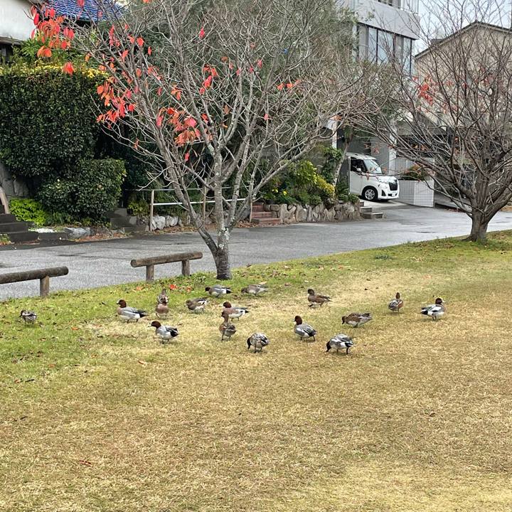 7621ff54 a924 45ef b73e 656ca09ebaed 1670151465779