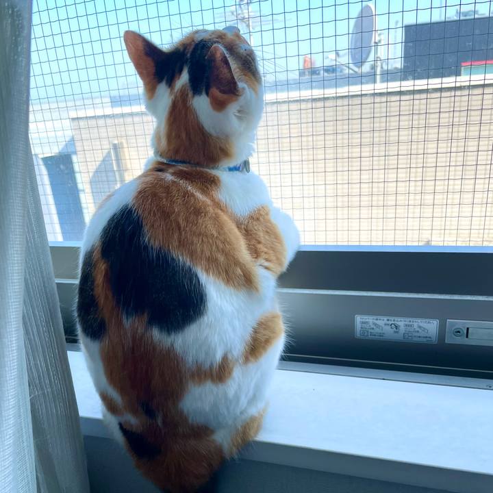 76225f4a 8110 46b0 9263 b4dc078b1e70 1721618928753