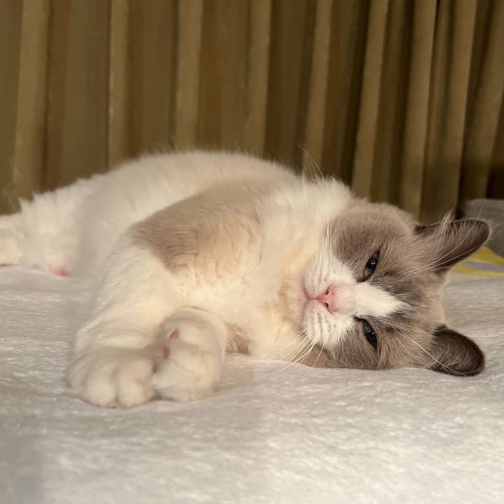 7622a50c 319d 4e7f a972 1975019f476a 1662325672713