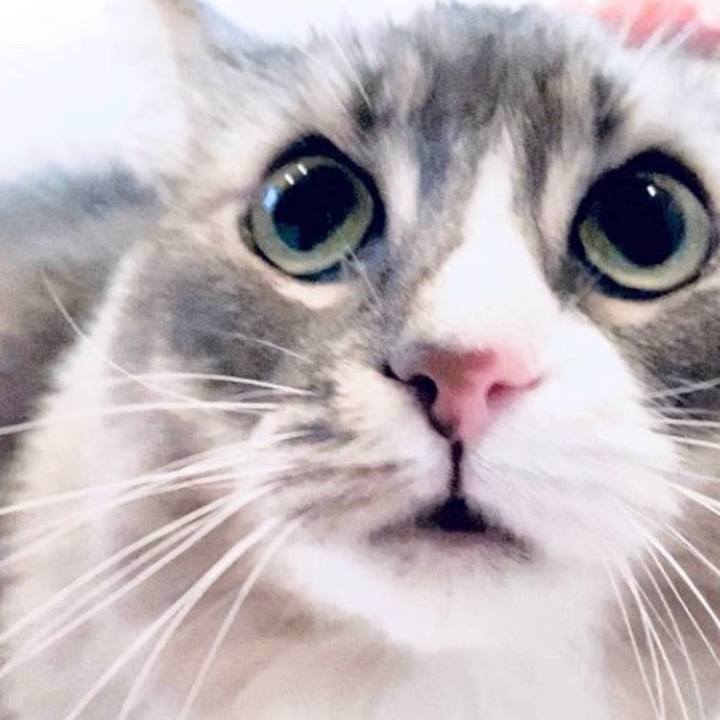 7622a763 6094 48b2 880e 3b3a805db894 1764523364324