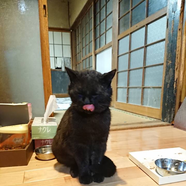 7622c290 7749 4d1d 8c33 008137d57f3a 1622040347157