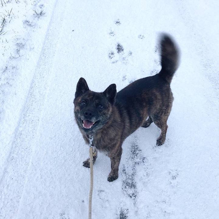 7622eb68 d06b 4501 adf8 63be2ac17727 1545952572617