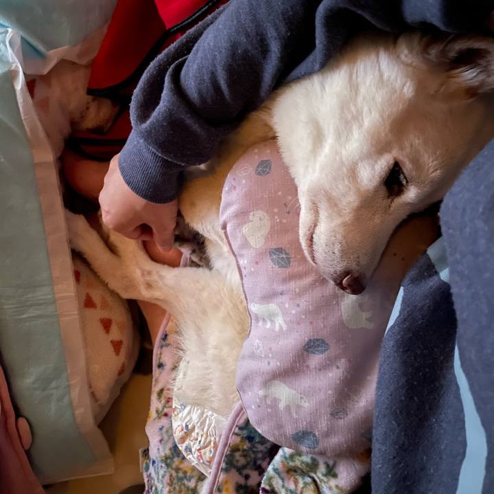 7622ff27 13d6 4096 ab3c 42e265d31c95 1670710115998