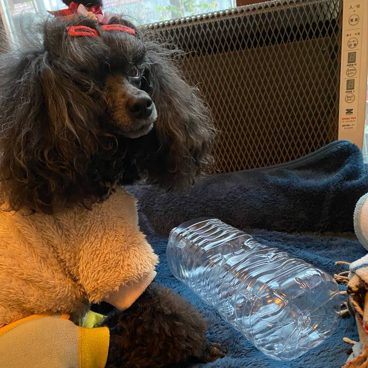 762320d4 cac0 48e7 b514 a43b56c45a8e 1676883176093