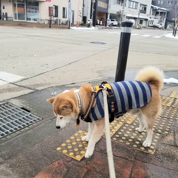 762327c0 78a7 4de5 a7aa e5a6e2d487ed 1613621847428