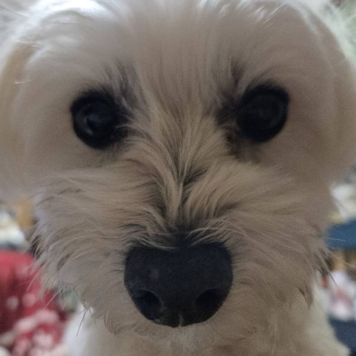 762336ab 1f7e 427d 9890 b28ab7d92f84 1766795688808