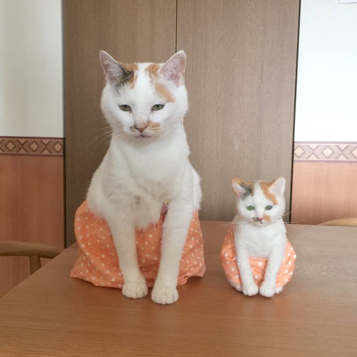 76235efb b7a6 4237 8013 c25456e1c35c 1524279608722