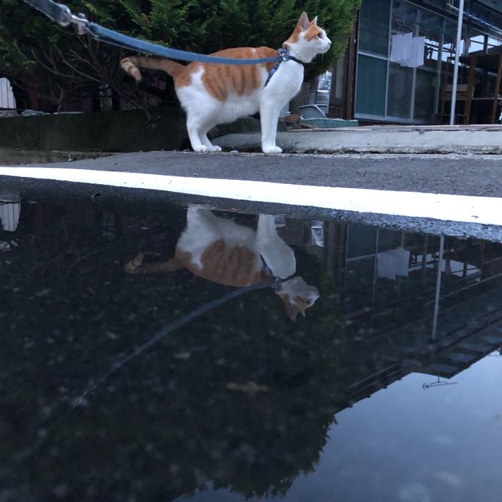 7623699f 4f7b 43d4 bd0e 55eb984083ae 1559991570917