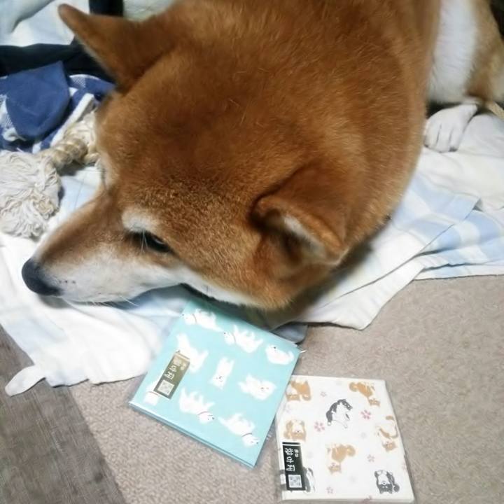 7623a233 c238 4734 84c6 4eedd9c1e947 1508633772478