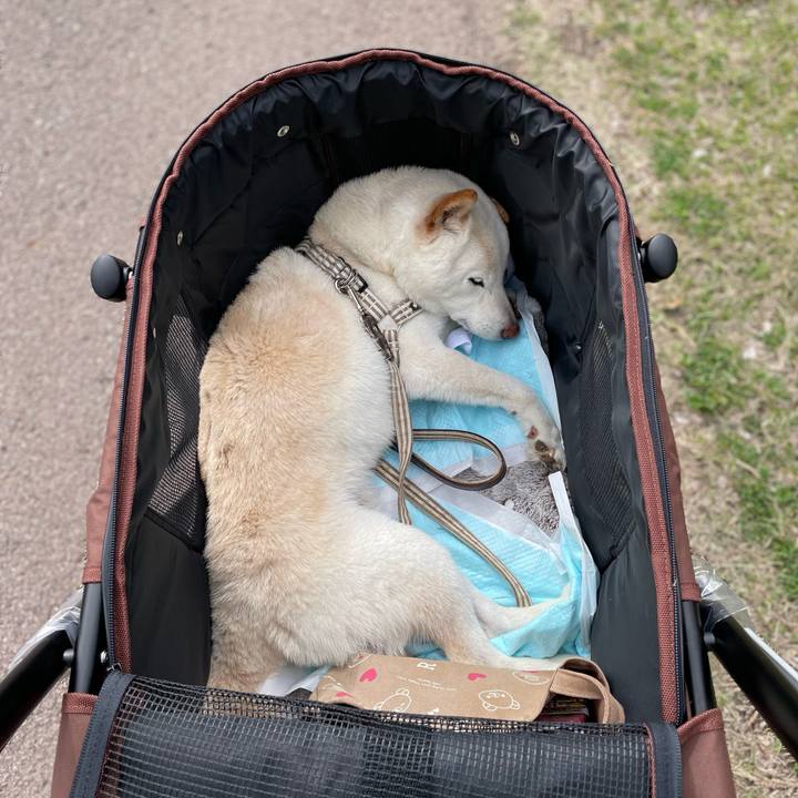 7623b6de d6e3 4996 8376 f1542dc625f7 1647668457136