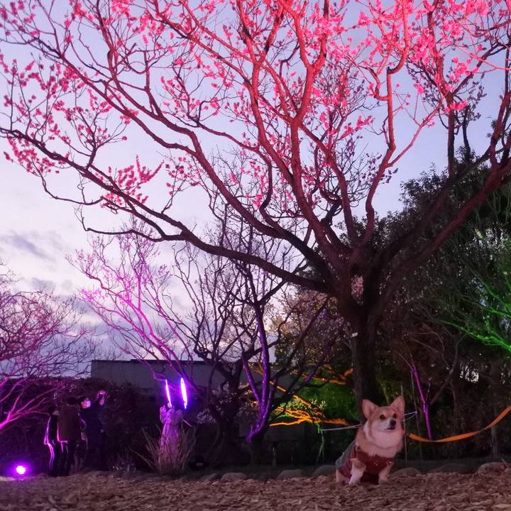 7623bcba fefd 476c 83b8 69625de11354 1649073384353