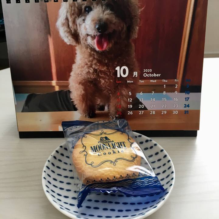 7623cb7c a33e 4edb b346 3f0e6d7c8283 1601524451546