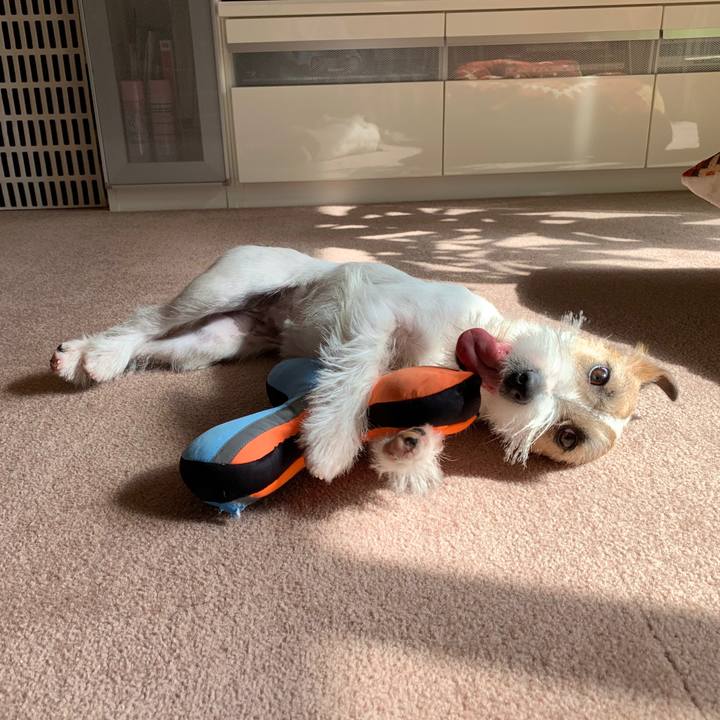 7623fed5 8978 4084 8029 046fe3454026 1581915427735