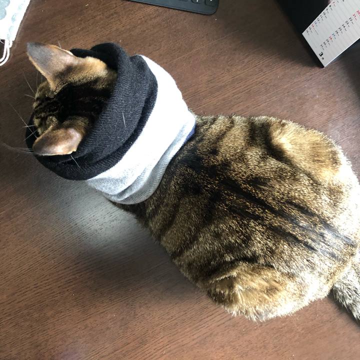 762445bd 460e 45a1 ac6a e81395845022 1615581273330