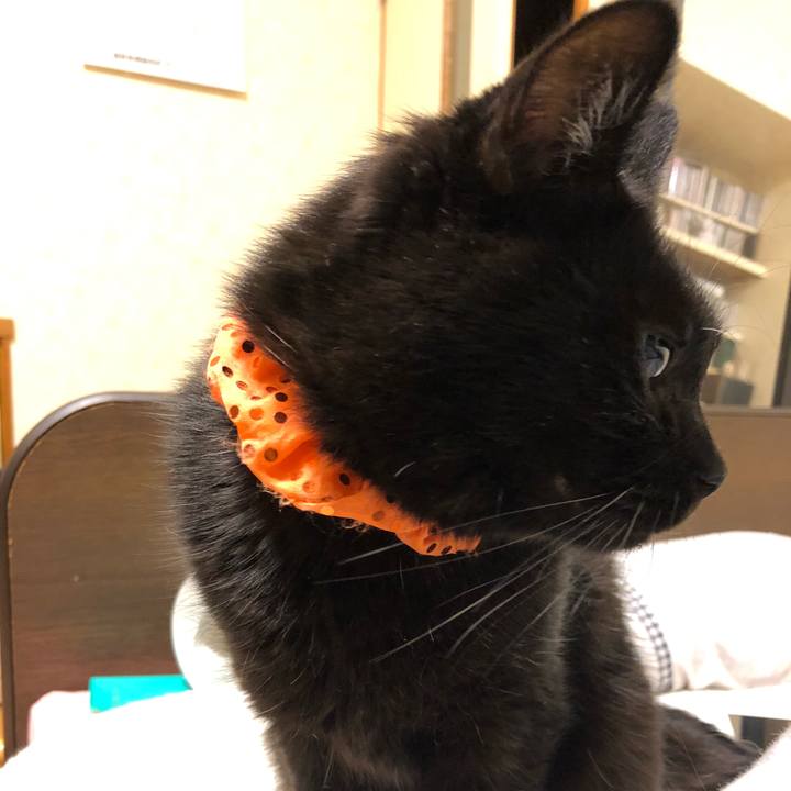 76247112 f8f0 49cf a811 05e471be5d8c 1571836245481