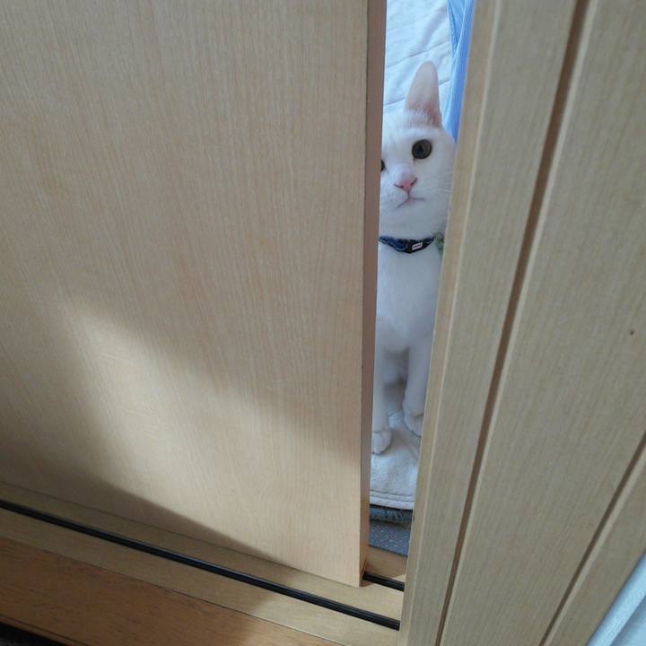 7624a56a 6ab8 4084 a5cf e088322c697b 1516668678143