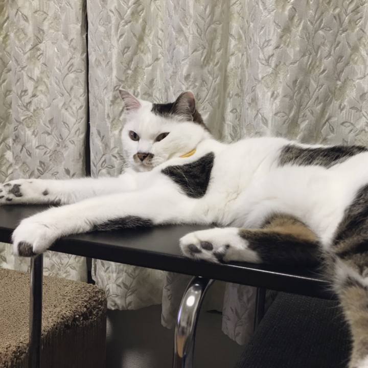 7624a715 8ba5 4784 a8f3 bd9600739a4e 1558766908101