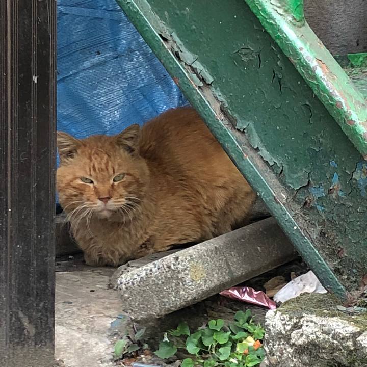 7624ff60 bbe0 4b3d af34 72aecd5f536b 1523441353709