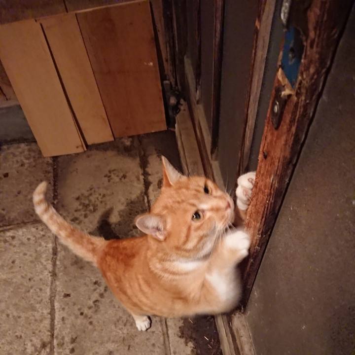 762500b7 207a 4a83 a2b3 50bfd92c99f2 1608800548768