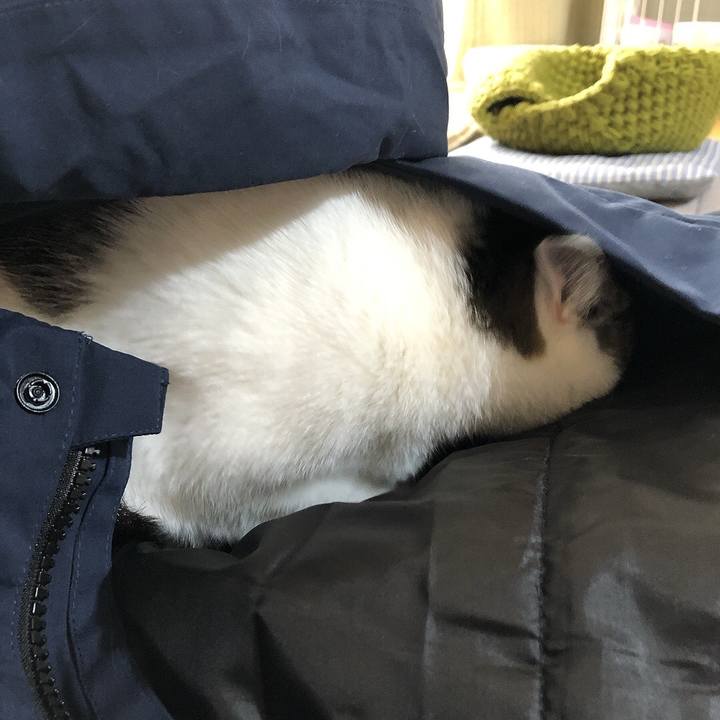 76250546 7452 4b40 8b8a bd838f496d72 1639353341305