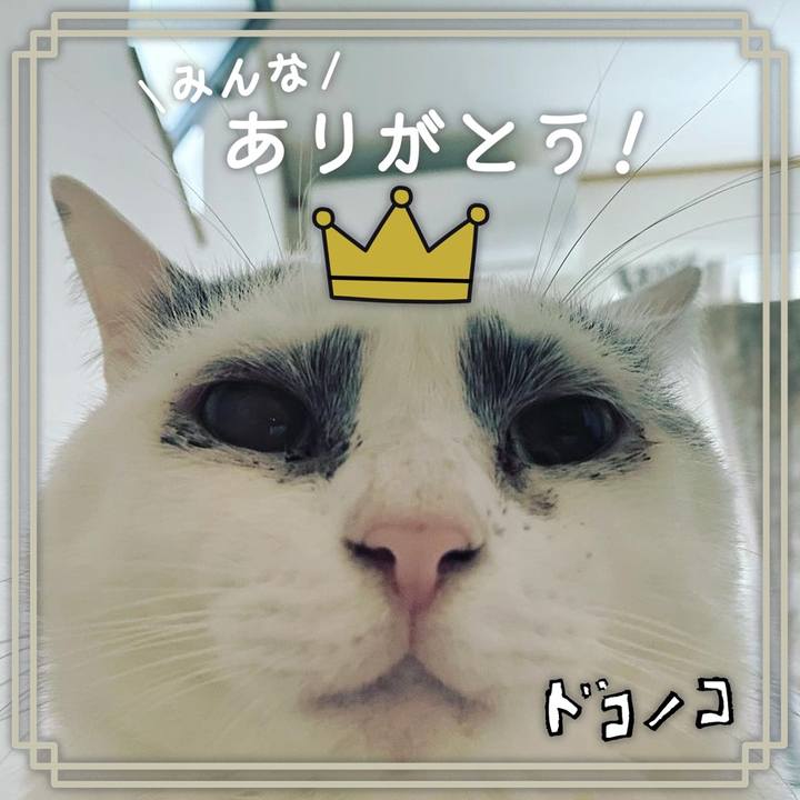 76250fef f74e 451e 8871 64a286a28fd5 1622875589498