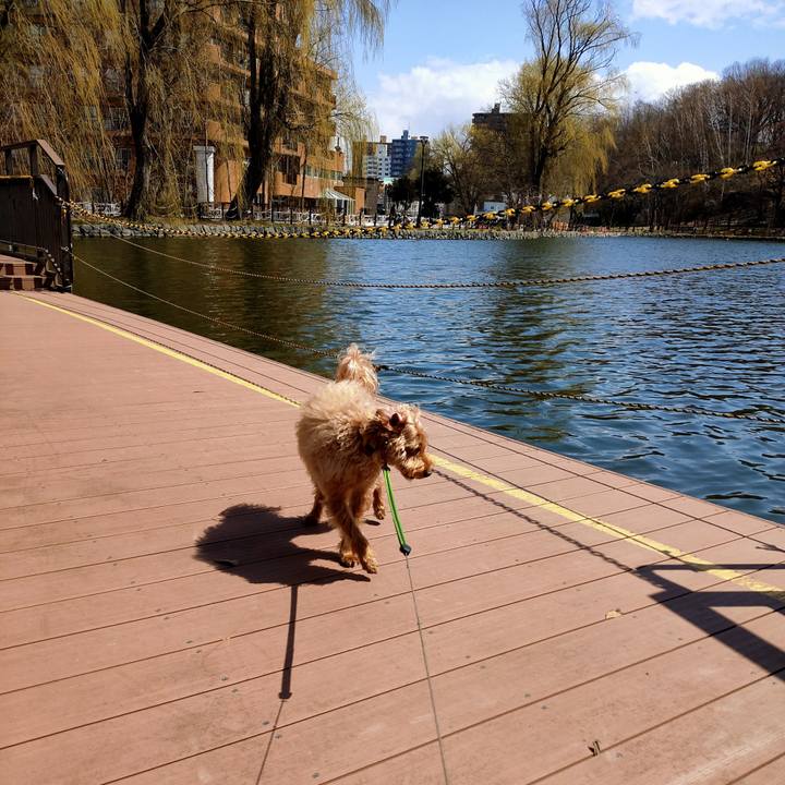 76253892 ed44 4039 9cfc b9630d5b6827 1587524513493