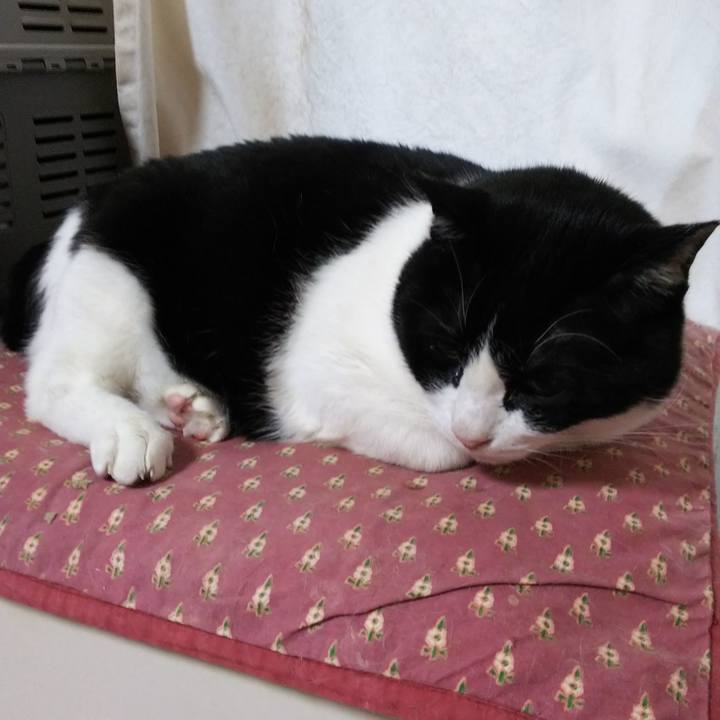 76253ca6 a0c9 4ba1 8318 2fca9c3afd91 1551735958499