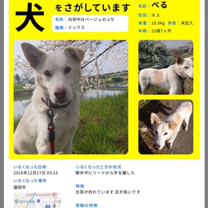 7625477f 13bc 4a44 858d a225eec023b1 1563025154995