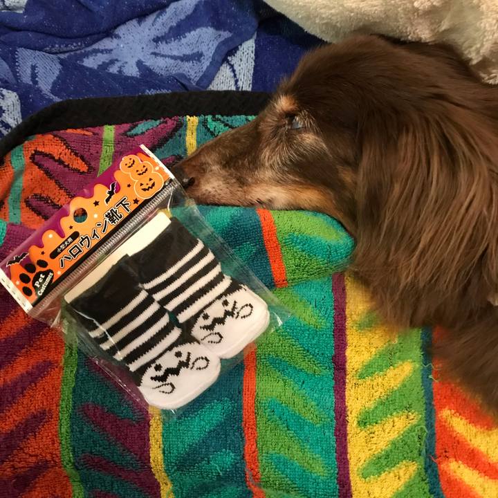 7625786a c3ad 4840 bfd9 0993b7ff22c5 1601704419613