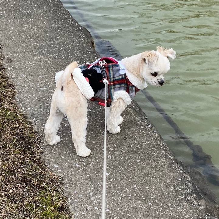 76258446 401e 4e0e 9090 b0bbf1597b4b 1578824285049