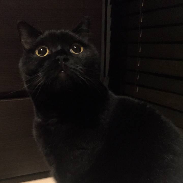 7625a679 4776 484a 9d17 b066a6f0e782 1537710208399