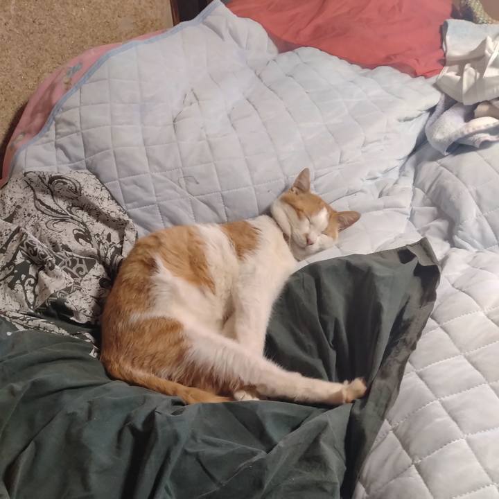 7625b925 802f 4b9a a3b6 4f126f039c19 1743906101816