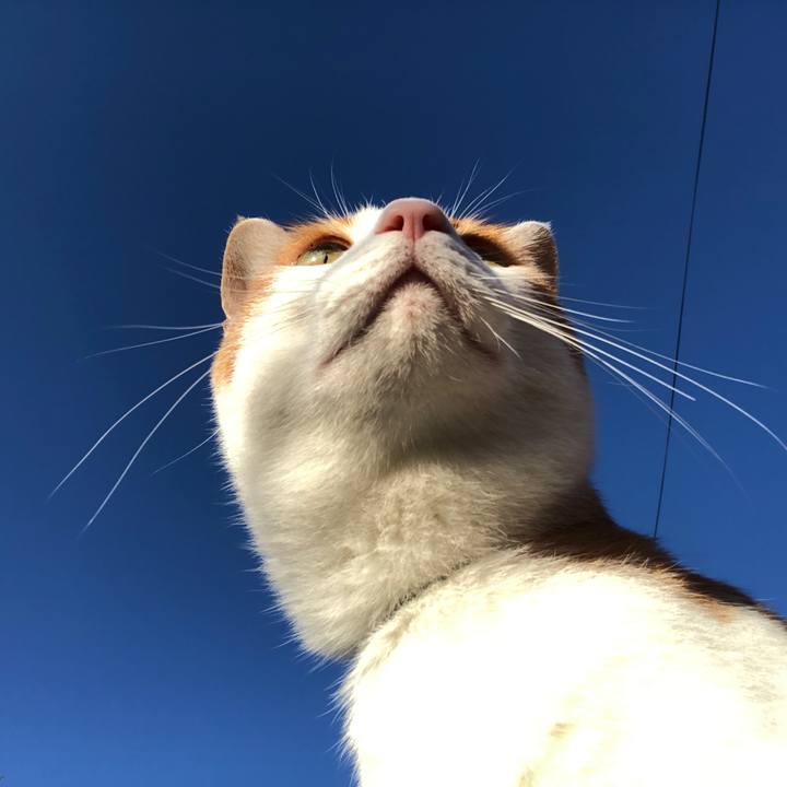 7625bf0c e2b0 4a67 8022 56e6cce1dc49 1562747811886