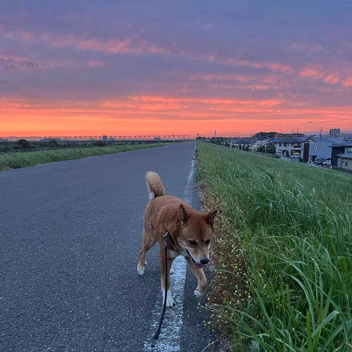 7625d1df 2305 4b2a b646 52a96cd4eb07 1718448933026