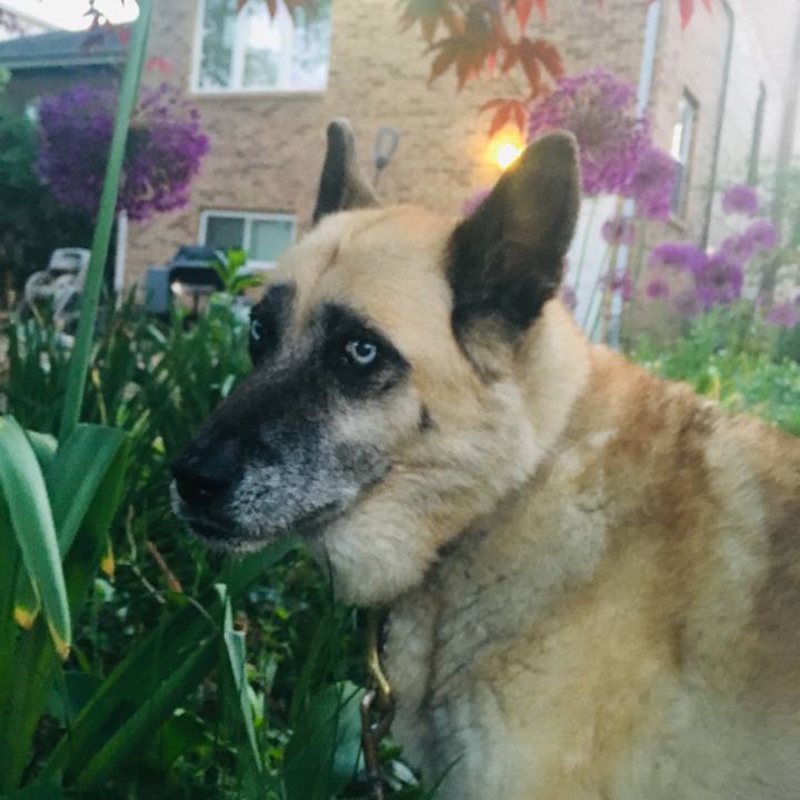 7625d263 8591 4ec1 a7a1 237a9f0c1ce9 1558927519850