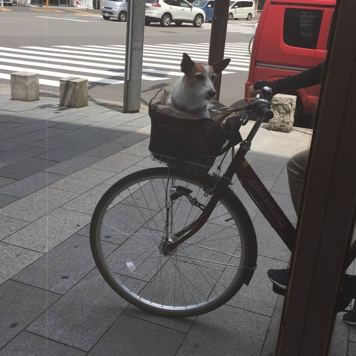 7625d503 4aa3 4a9e afbc 211c44e7d582 1624577401887