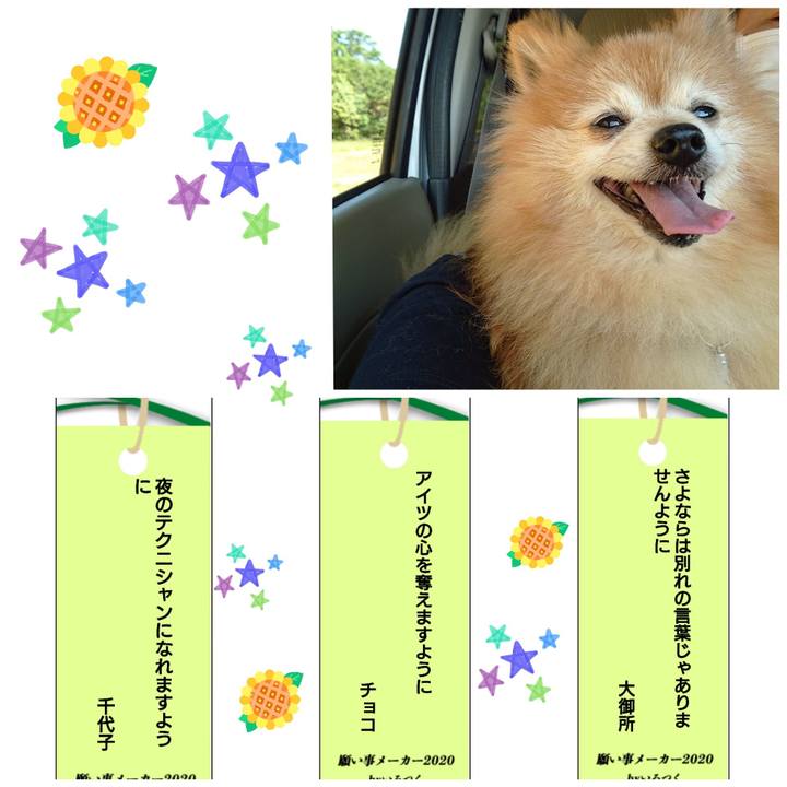 7626143a 8421 4e68 95e9 e932a9fc2ce3 1594078084915