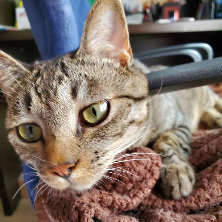 76264345 9081 4585 8b79 4576d87cfbb9 1695037799124