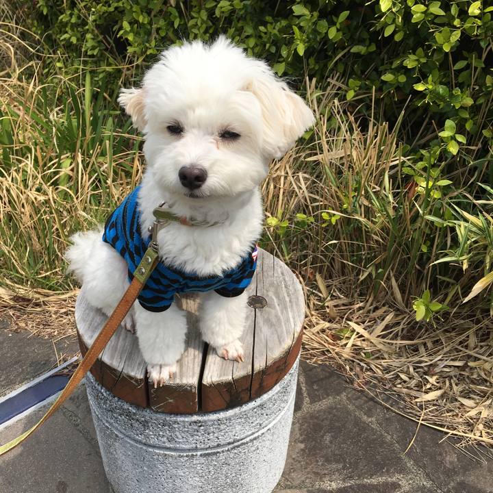 76265398 fd73 49e9 b48b a6e3b9834055 1587956655009