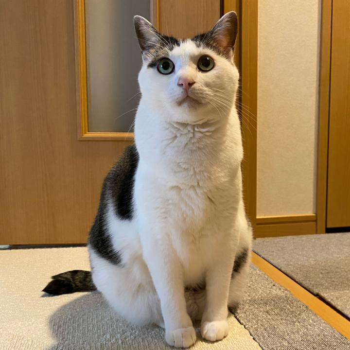 762658b4 ff91 41e5 9e82 a57a8d6088ef 1762995123901