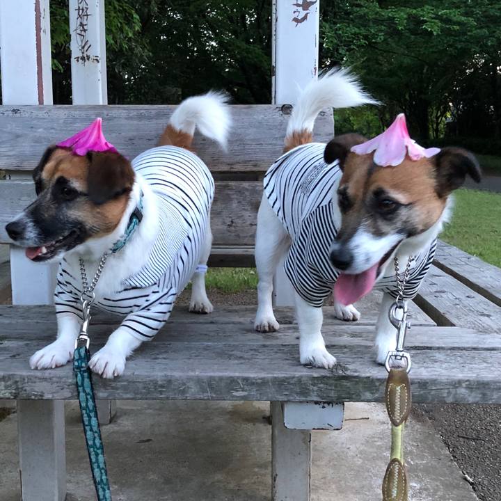 7626647e 802a 4c08 9917 b7f725cff93f 1557054630520