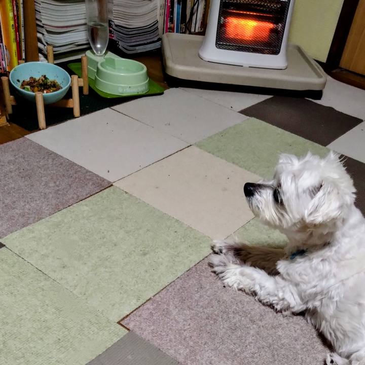 76268394 69b4 4d37 9953 9563e857cfd6 1744803862600