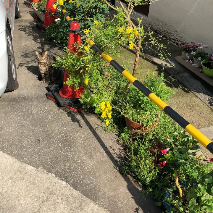 76269644 58a4 4cfc a68a e8288c655341 1524657030721